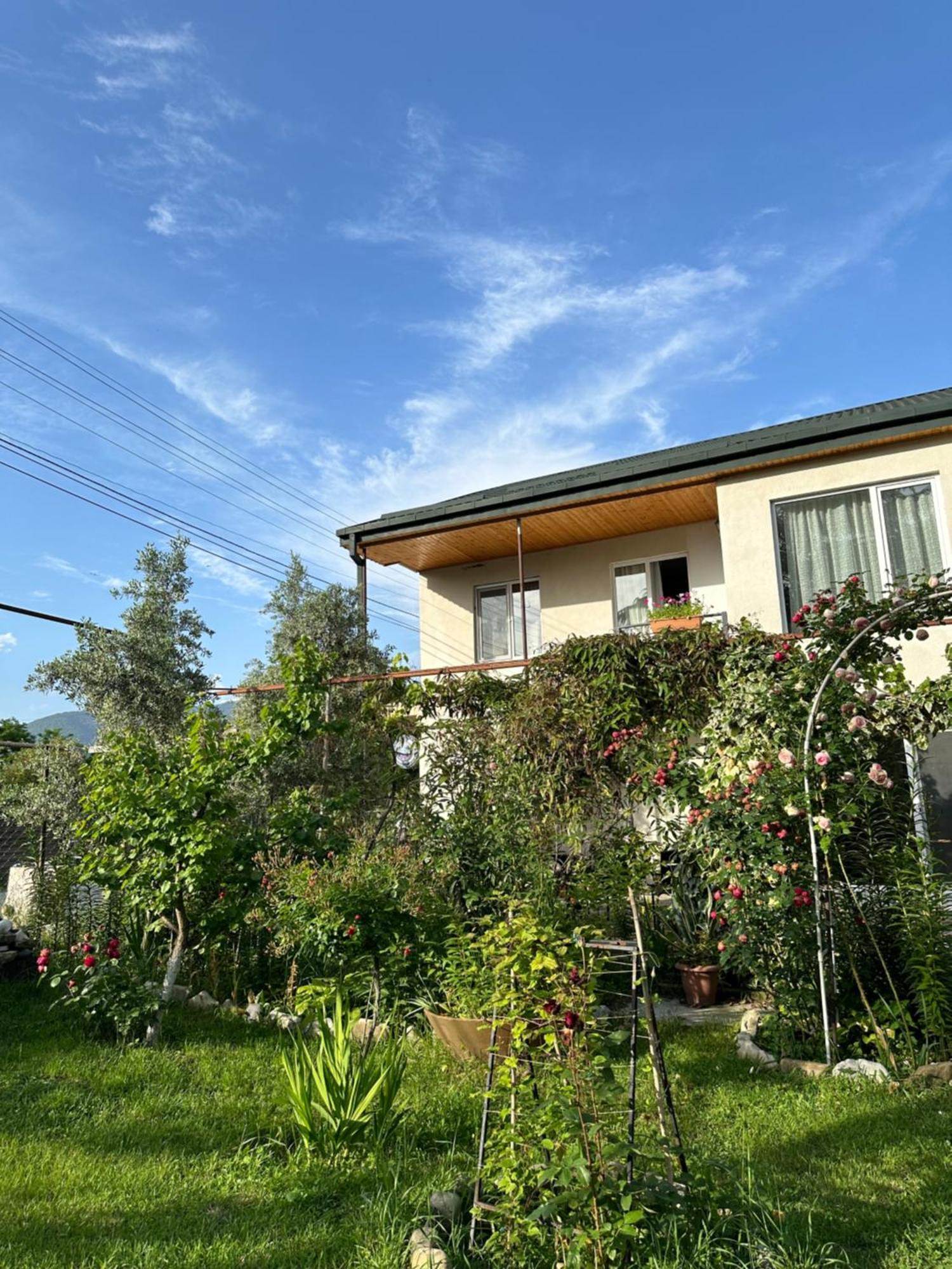 Orenda เทลาวี ภายนอก รูปภาพ